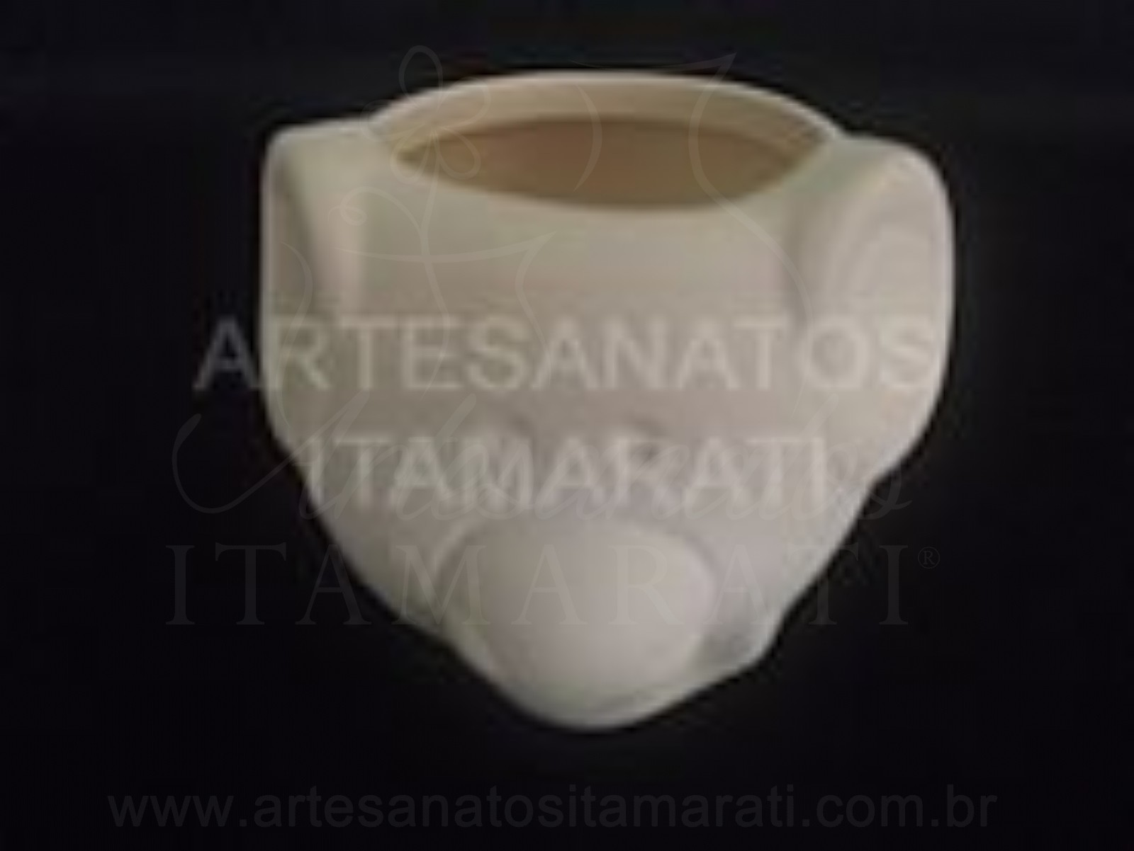 Elefante Bola Vaso Suculenta